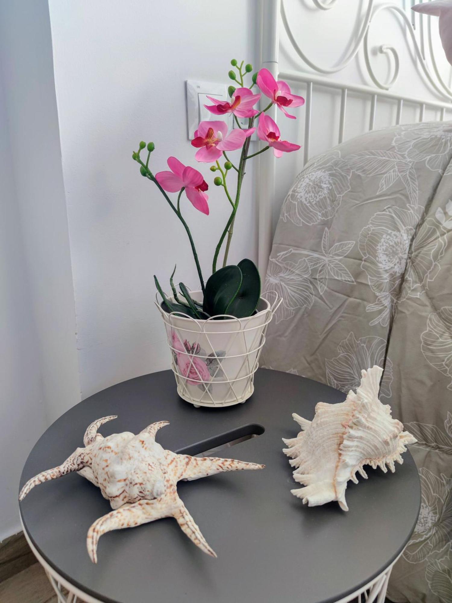Beach Studio Torremolinos Luaran gambar